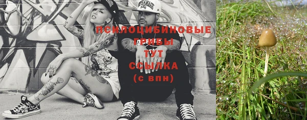 шишки Волосово