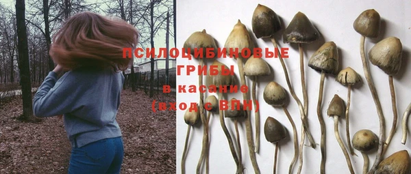 MDMA Premium VHQ Верхний Тагил