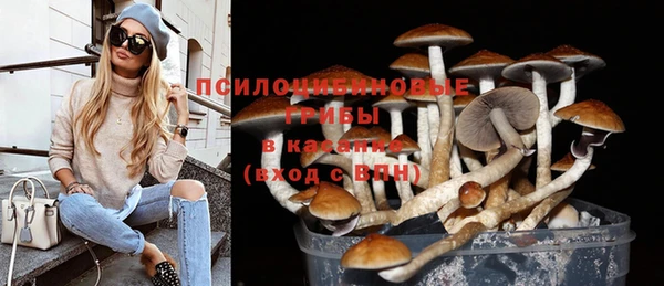 MDMA Premium VHQ Верхний Тагил