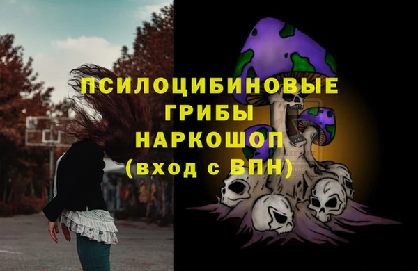 a pvp Верея